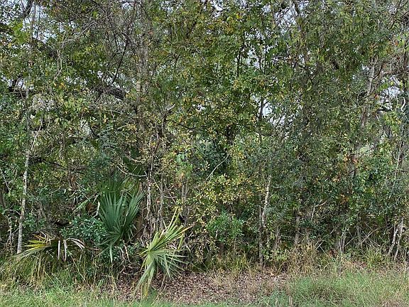 3rd image of 19288 County Road 319
