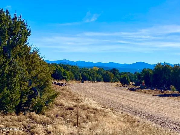 47 Co Rd 3205 -- #-, Vernon, AZ 85940