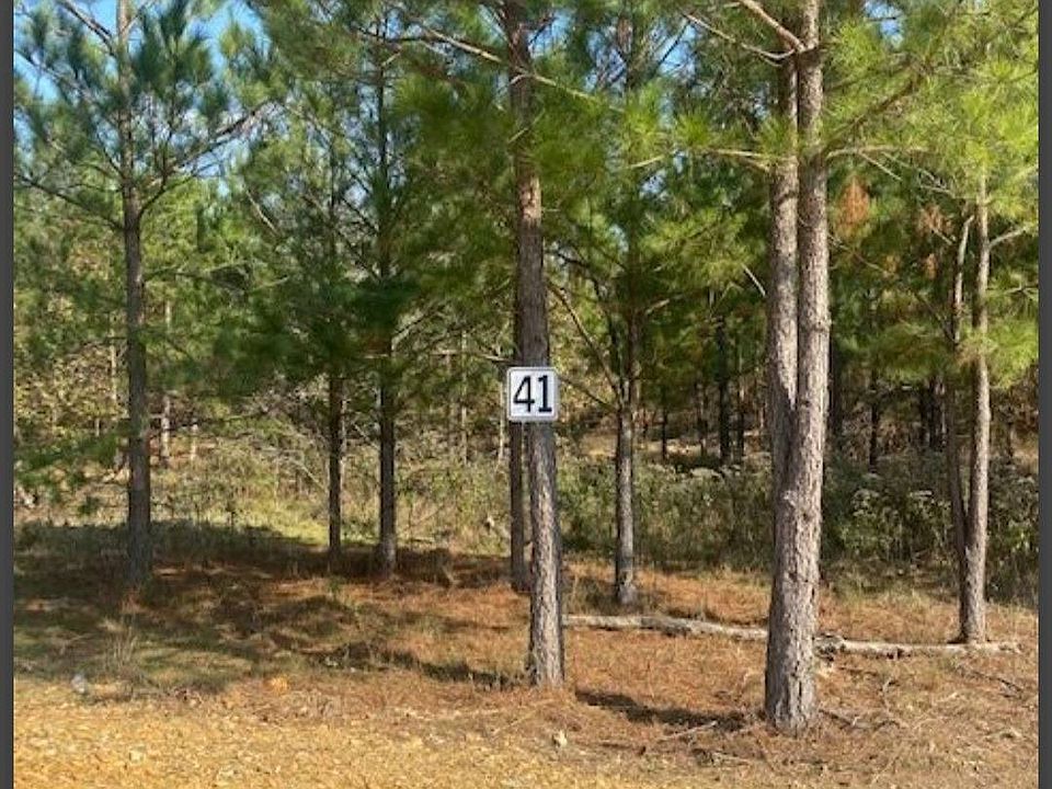 1st image of 41 Hidden Pines Loop