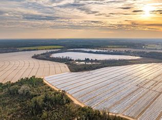 0 Vickers Bridge Rd, Lenox, GA 31637