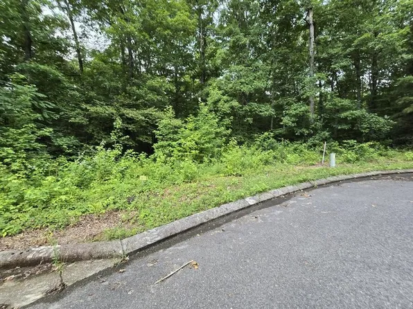 142 Lower Brow Rd Lot 142, Dunlap, TN 37327
