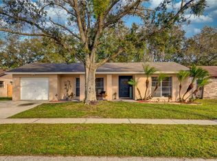 6551 Spanish Moss Cir, Tampa, FL 33625