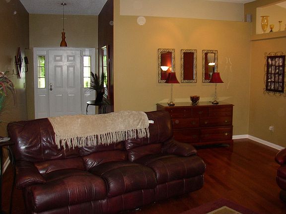 Living Room/Foyer background