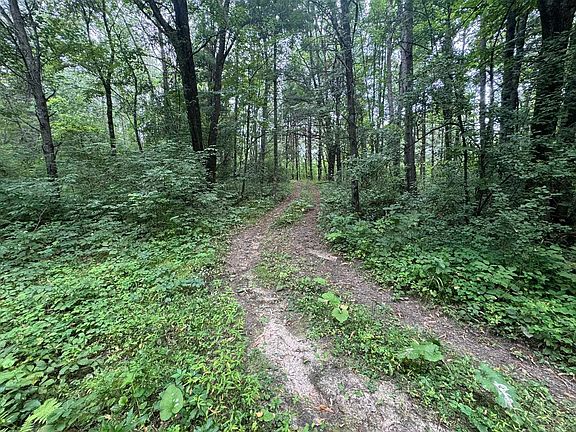 2nd image of Larson Rd