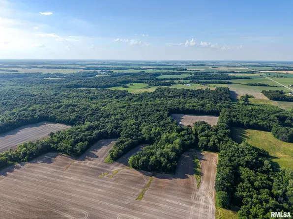 0 Jones Ridge Rd, Alma, IL 62807