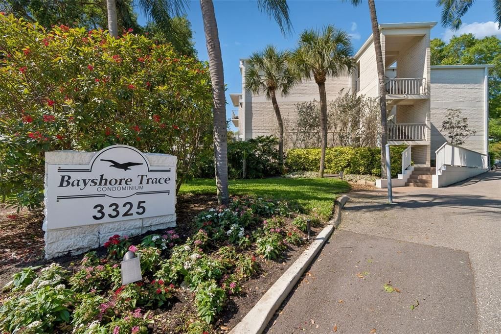 3325 Bayshore Blvd Unit D14, Tampa, FL 33629 condo