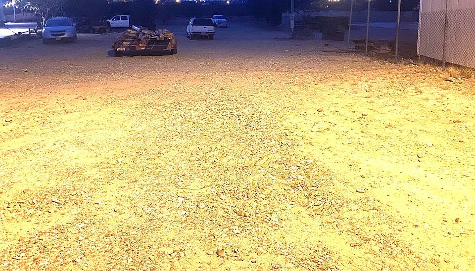 2nd image of 3843 Whitetail