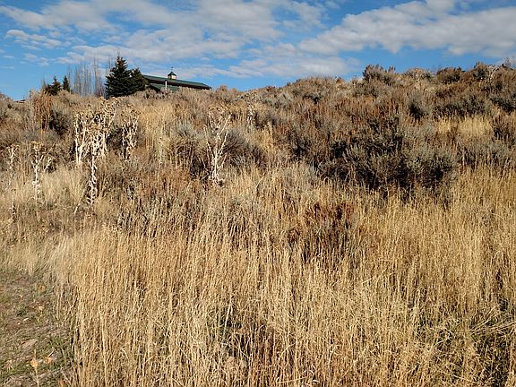 On 2.5 acres of iconic land