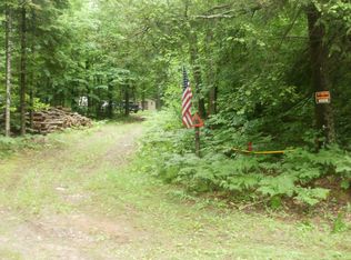 2367 E Burrows Road 20 Acres, Wolverine, MI 49799