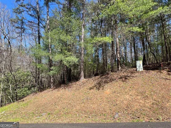 0 Trout Line Ct, Talking Rock, GA 30175