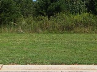 6615 Smokestack Ln, Clermont, GA 30527