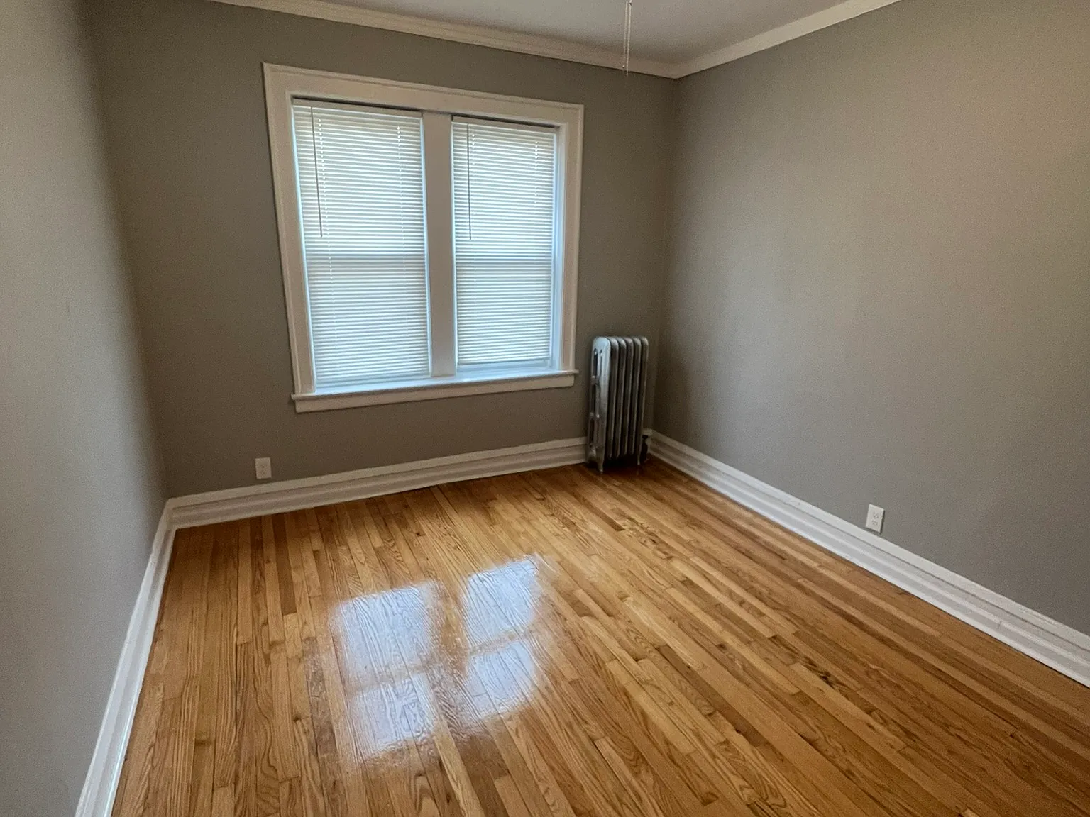 2 bed, 1000 sqft, $1,350 — Photo 3