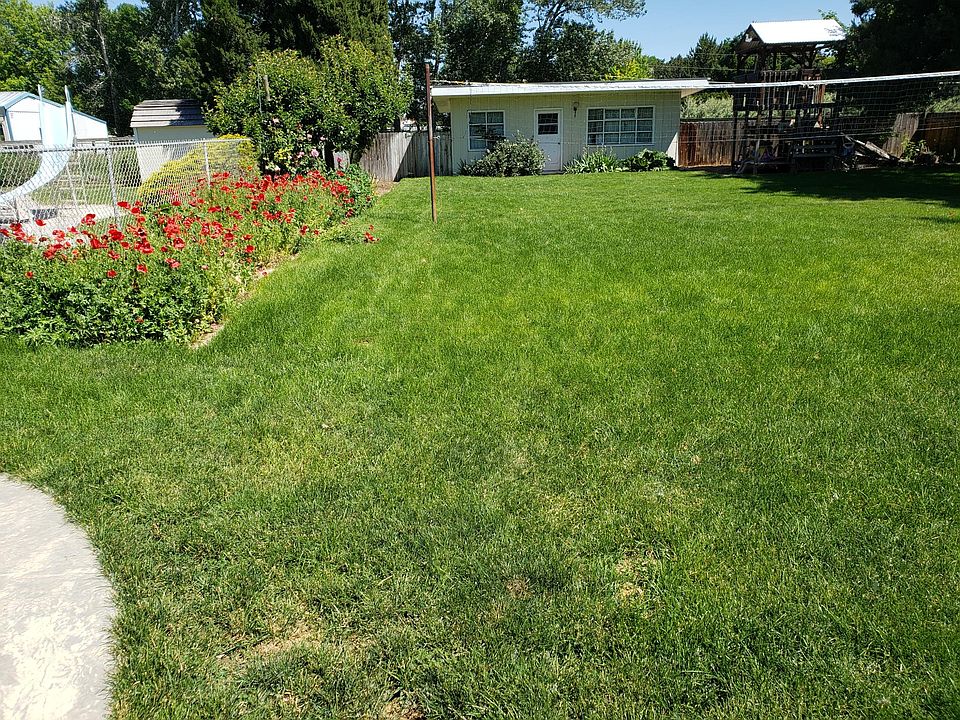 Roomy backyard