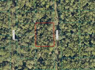 NE 113th Ter LOT 19, Fort Mc Coy, FL 32134