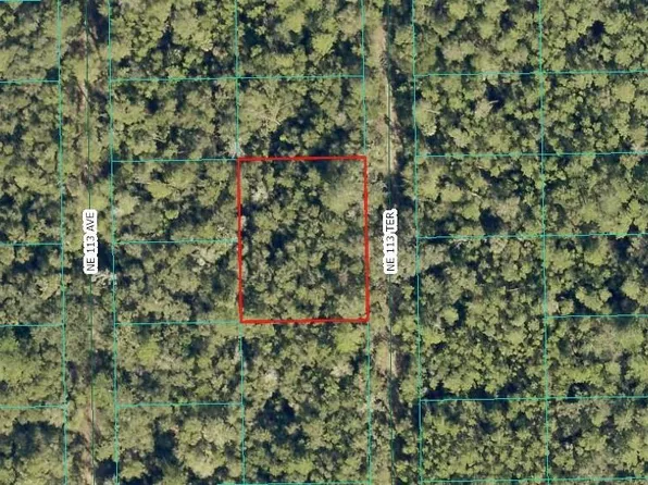 NE 113th Ter Lot 19, Fort Mc Coy, FL 32134