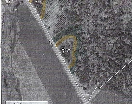 highlighted wetland buffers