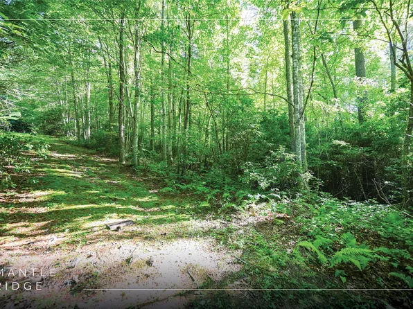 Lot 5 Luckies Way, Cashiers, NC 28717