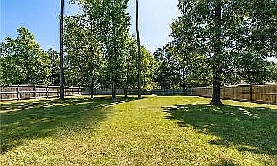 Large back yard