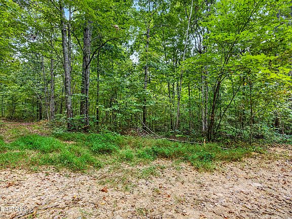 5th image of LOT 20 23& 24 Timber Ridge Ln