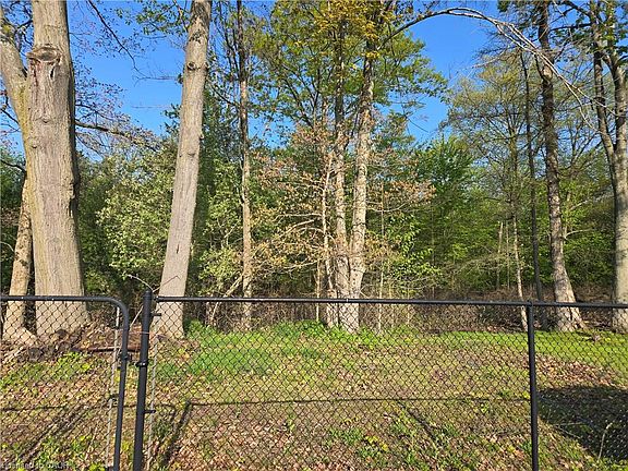 5th image of 73 Foxtail Ave