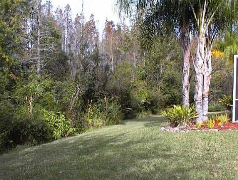 View of Back Yard