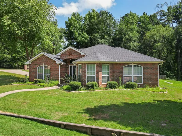 114 Heather Ln, Diana, TX 75640