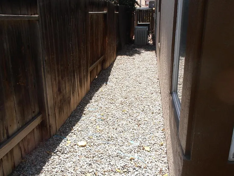 back side yard