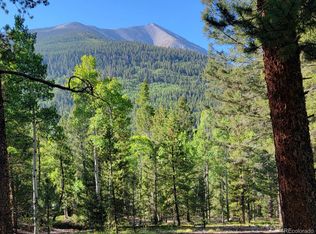 County Road 292A, Nathrop, CO 81236