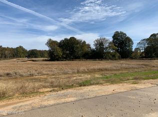 74 Pebble Cv S, Byhalia, MS 38611