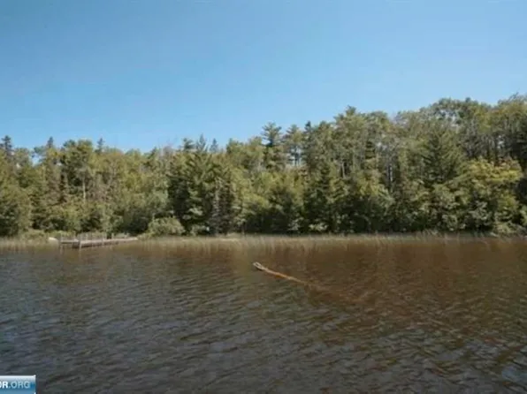 95818 Pine Is, Tower, MN 55790