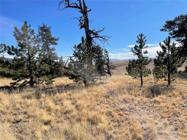 62 Powder Way, Como, CO 80456