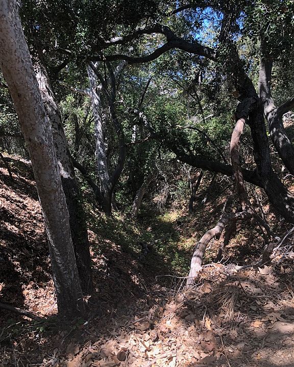 2nd image of 40342 Sandia Creek Dr