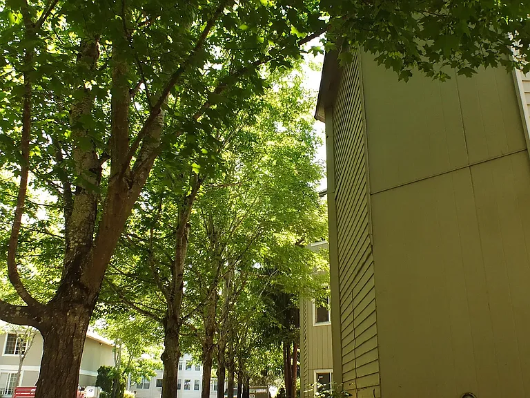 377 Madrona Ave SE #210 — Photo 16