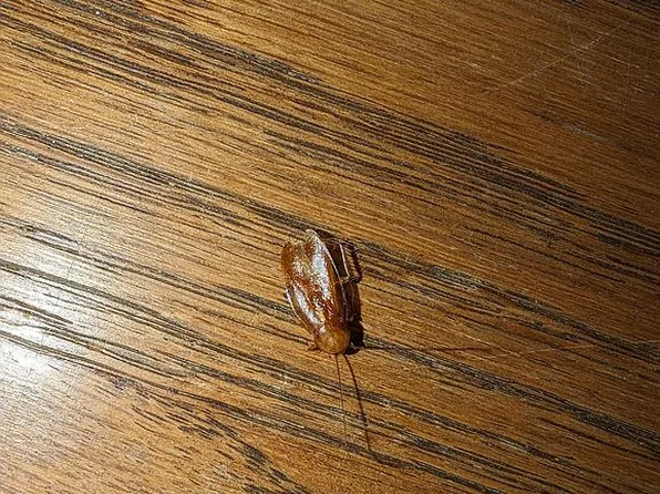 538 E Broad St, Hazleton, PA 18201