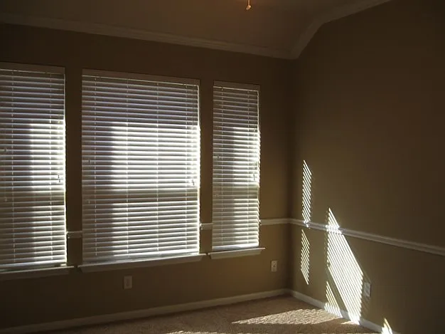 1402 Chandler Cv — Photo 13