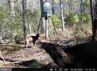 0 Shorters Wharf Rd, Church Creek, MD 21622