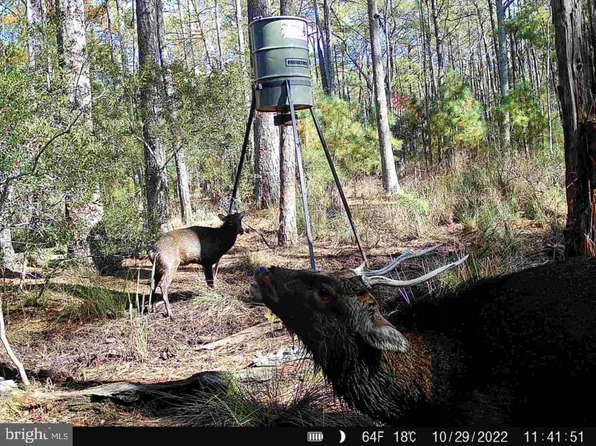 0 Shorters Wharf Rd, Church Creek, MD 21622