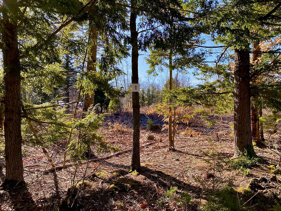 2nd image of Lot 1 Great Falls Road