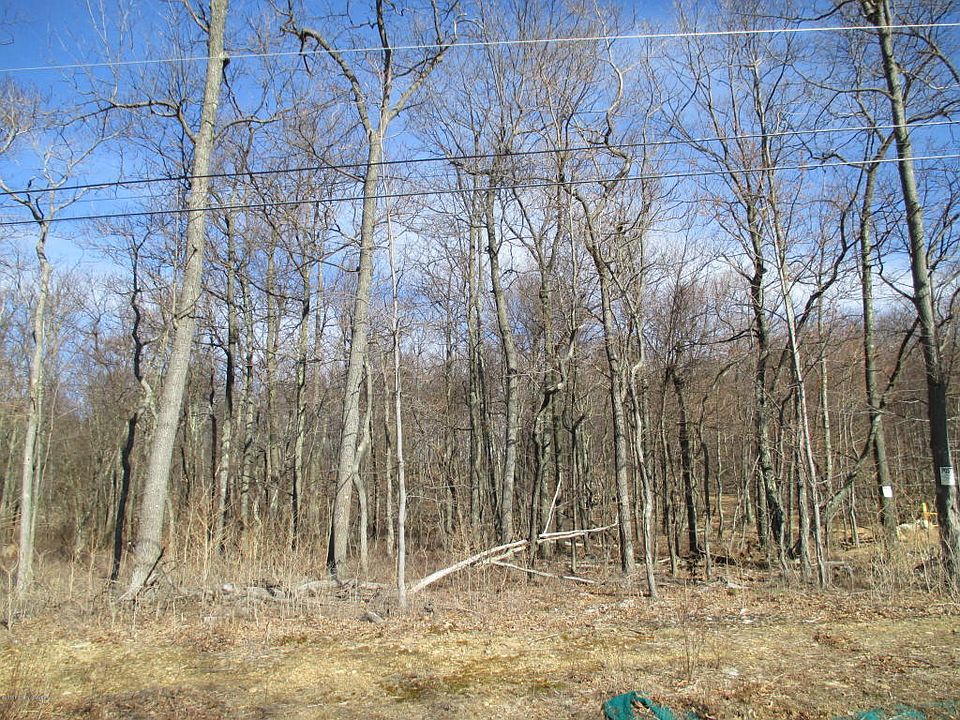 2nd image of 45 Bentwood Rd