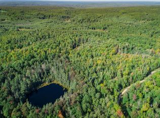 Hetherton Rd, Johannesburg, MI 49751