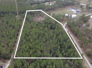 1 Wild Cur Rd Lot 101, Pierson, FL 32180