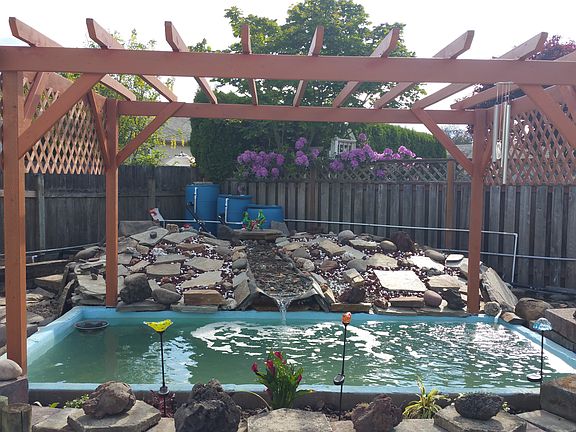 KOI POND
