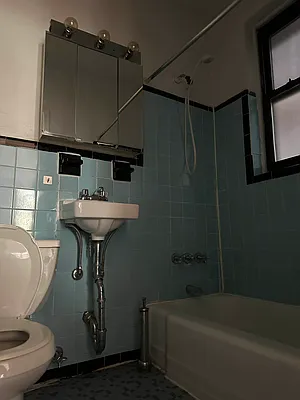 Rented by Eric Goodman Realty Corp | media 10