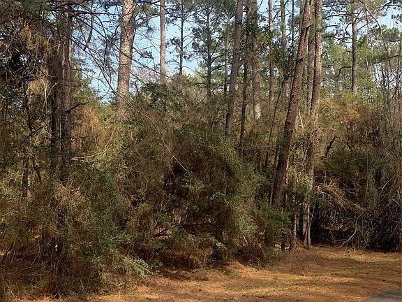 5th image of 19 Pavlock Rd Lot 19