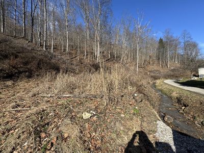 1055 Hurricane Branch Rd, Chapmanville, WV, 25508