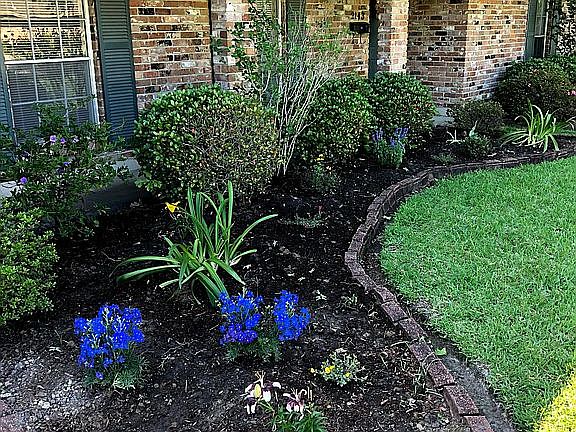 Front garden (former glory)