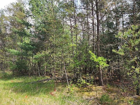 2nd image of LOT 303 Cypress Ave
