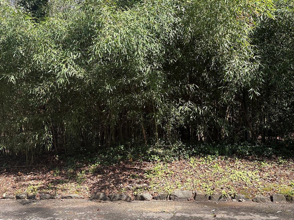 2nd image of 0 Adams Dr SW