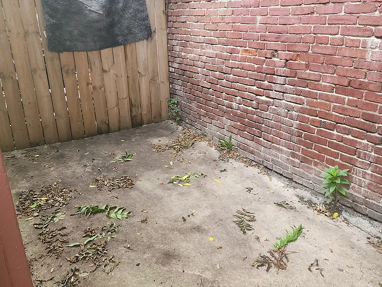 411 S Arch St #1 — Photo 25