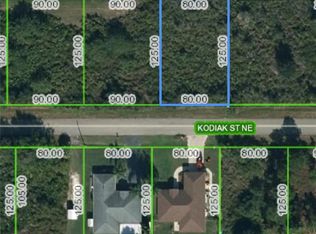 206 Kodiak St NE, Lake Placid, FL 33852